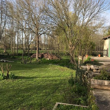 Ancien Moulin A Eau Sur La Seugne Apartment Mosnac  Екстериор снимка