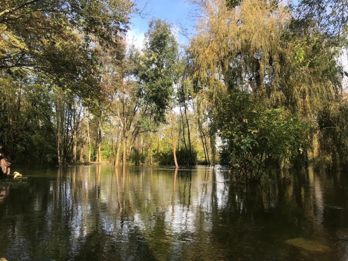 Ancien Moulin A Eau Sur La Seugne Apartment Mosnac  Екстериор снимка